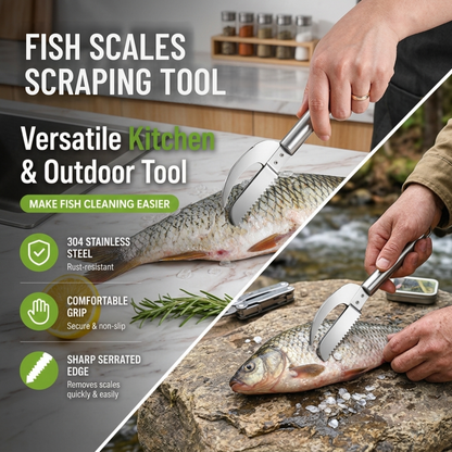 Stainless Steel Fish Scaler & Gutting Tool